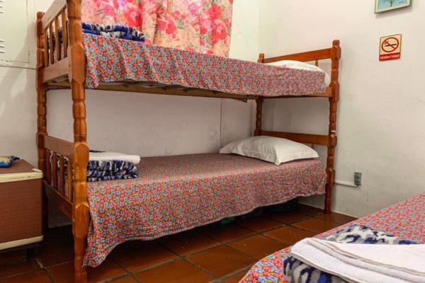 Hotel Pousada Edelweiss Florianópolis Dış mekan fotoğraf